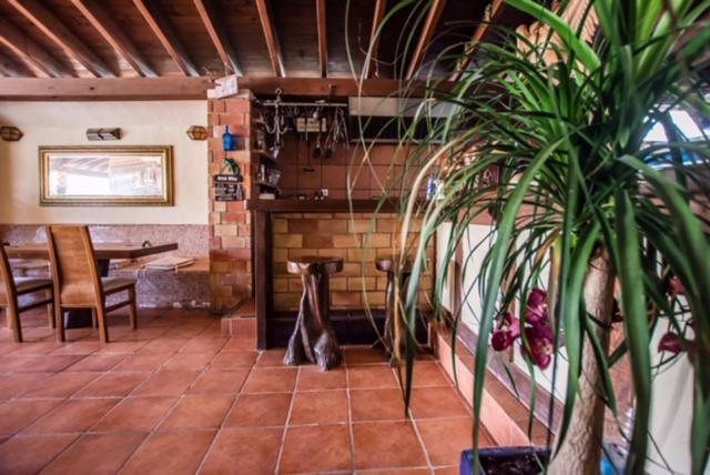 El Cortijo Escana Es Cana المظهر الخارجي الصورة